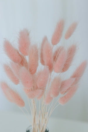 Bunny Tails - Pink